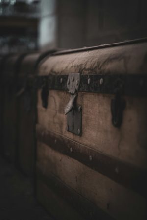 dayso-ql-l2lVoxKI-unsplash