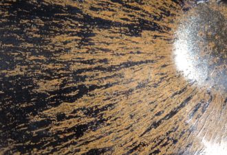 L’atelier de la Barbastelle