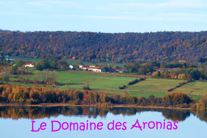 Vue du Domaine depuis le belvédère de Fontenue