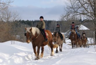 A la découverte des animaux du grand nord en famille dans le Jura