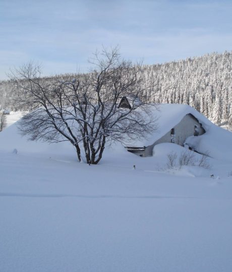 Écomusée Maison Michaud