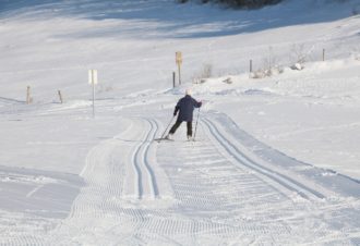 Elodie Bourgeois Pin