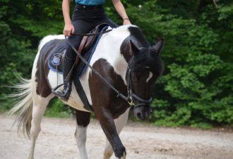 Centre équestre de Chalain