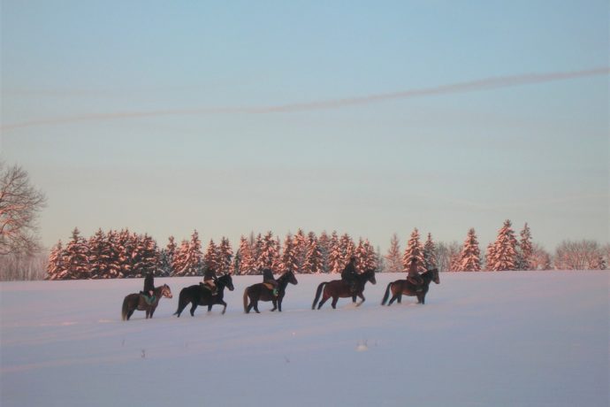 equitation_cheval_balade_neige_hiver_©RanchJack (3)