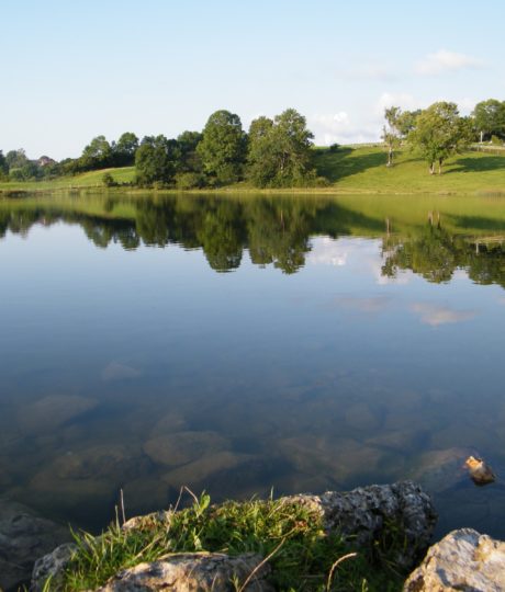 Étang d’Arsure-Arsurette