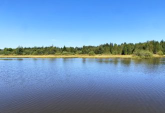 Étang Fontaine Carré