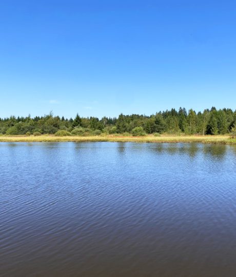 Étang Fontaine Carré