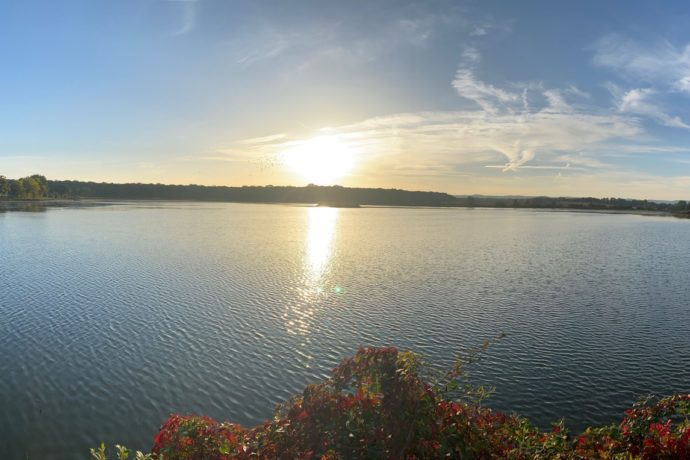 etang plein