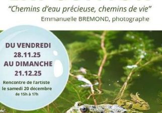 Exposition “Chemins d’eau précieuse, chemins de vie »