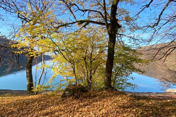 lac de chalain