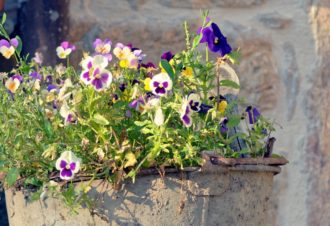 Les Billardes – Chambres d’hôtes