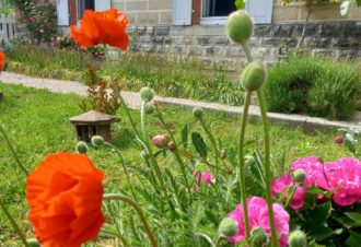 Gîte La Côte fleurie