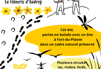 La flânerie d’Audrey