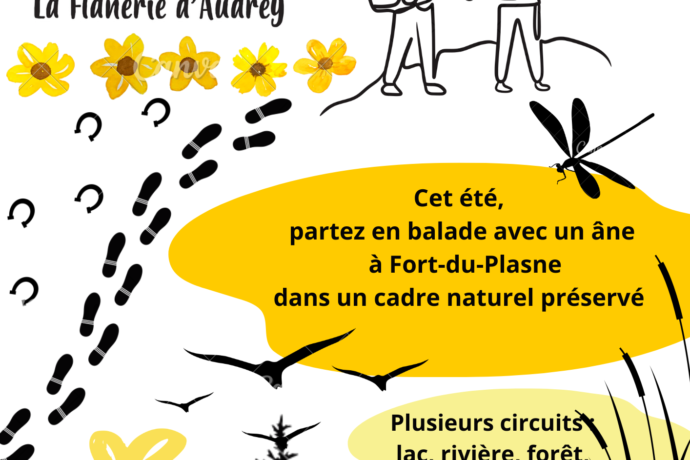 flyer été – 1