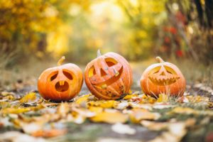 gadgemayur-pumpkin-6720424_1920