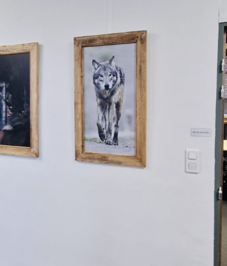 Galerie des Artistes