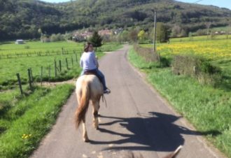 La Genette et la Salamandre