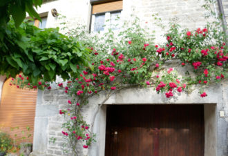 La Loge de la Suisse