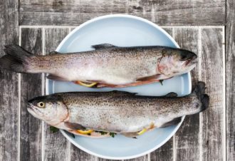 La Pisciculture des Grottes