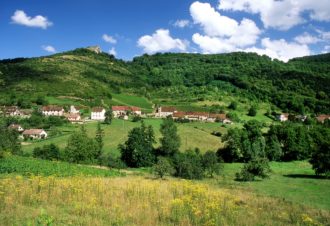 Entre Sonnette et pins