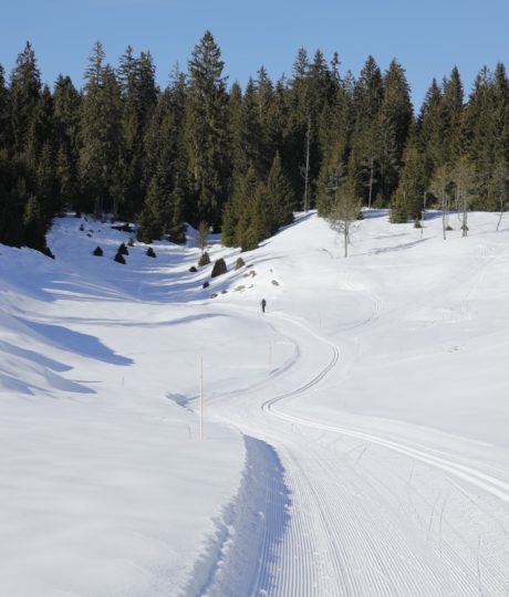 Site Nordique de la Haute Joux – Cerniébaud – Mignovillard – Vaux et Chantegrue