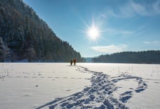 Site Nordique de la Haute Joux – Cerniébaud – Mignovillard – Vaux et Chantegrue