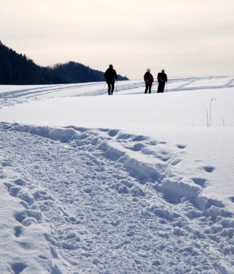 172772Site Nordique de Nanchez – Prénovel, Chaux des Prés, Les Piards