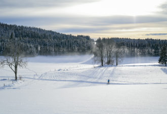 La Vigne – Jean Marie Bourgeois