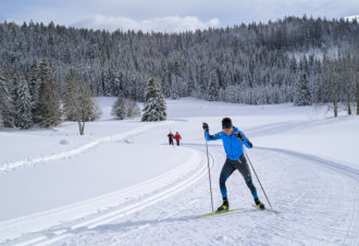 La Vigne – Jean Marie Bourgeois