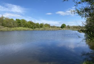 Le Sentier des étangs Vaillant, du Crêt et du Fort