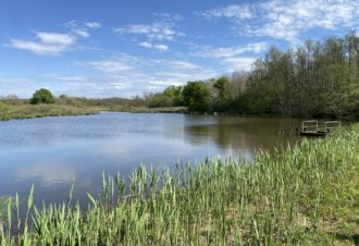 Le Sentier des étangs Vaillant, du Crêt et du Fort