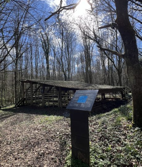 Le four de Tuilier Gallo-Romain