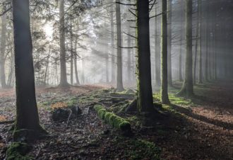 Vacances de Noël dans les Montagnes du Jura