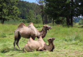 Ferme Découverte de l&rsquo;Enquerne
