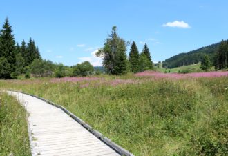 Sentier du Lac de Lamoura