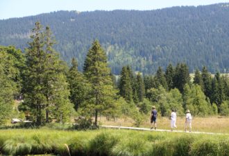 Sentier de la tourbière du lac des Rousses