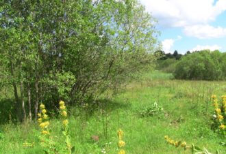 Circuit de découverte du lac des Rouges Truites