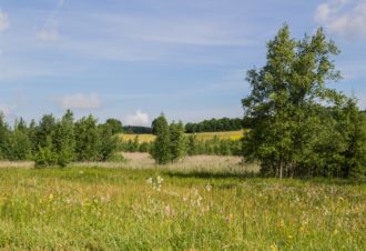 Lac de Fort-du-Plasne