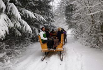A la découverte des animaux du grand nord en famille dans le Jura