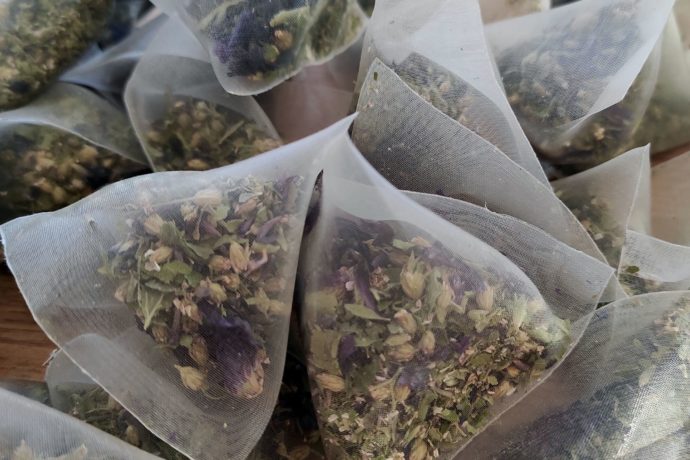 Infusettes bis