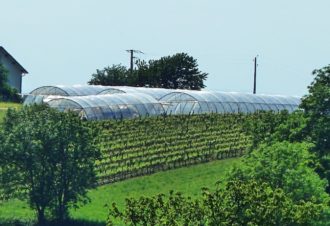 Les Jardins de Théia