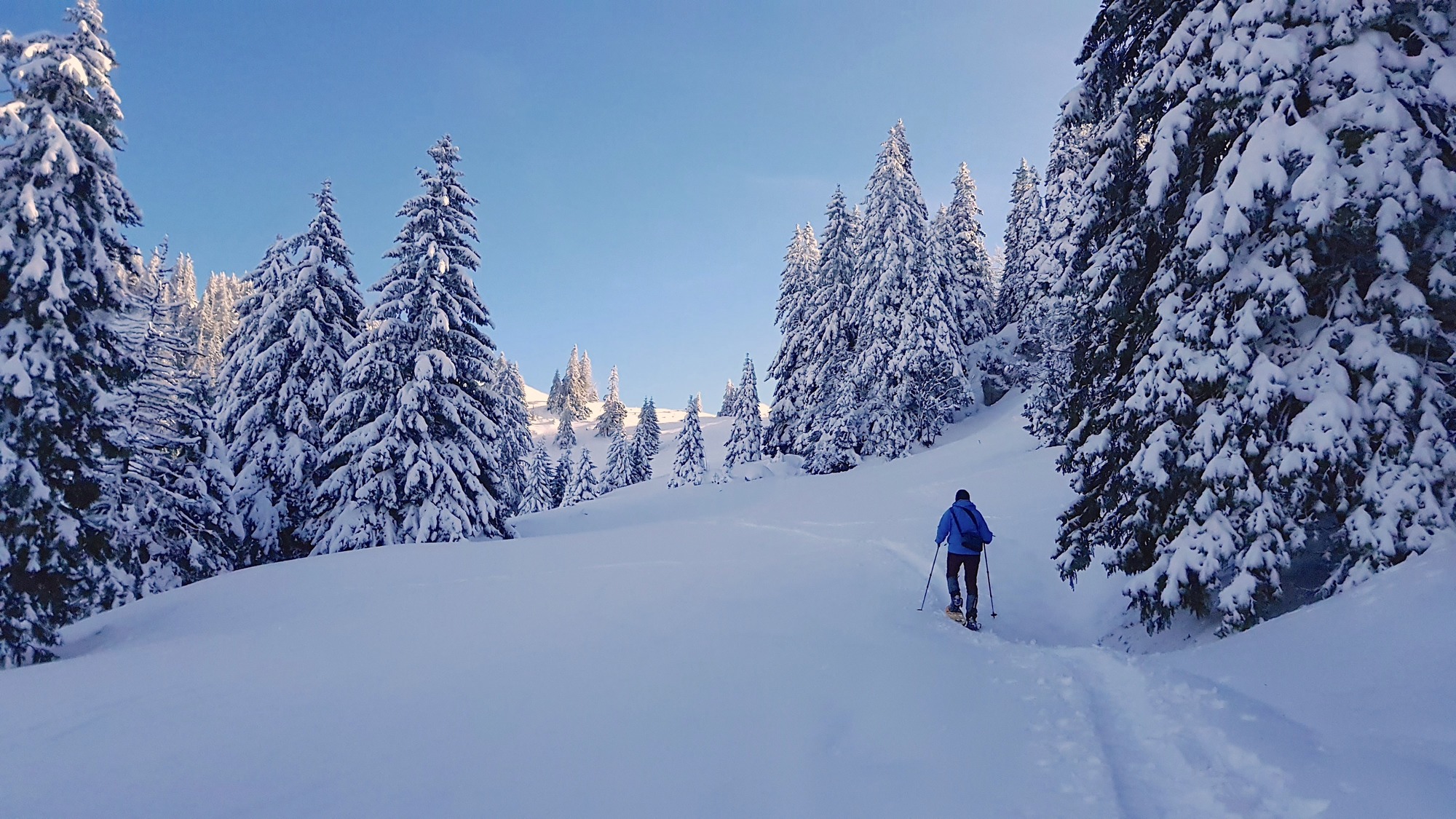 Raquettes – Sur le Tartre