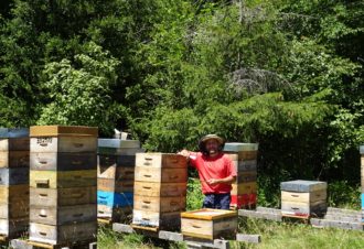 De la Ruche aux Papilles