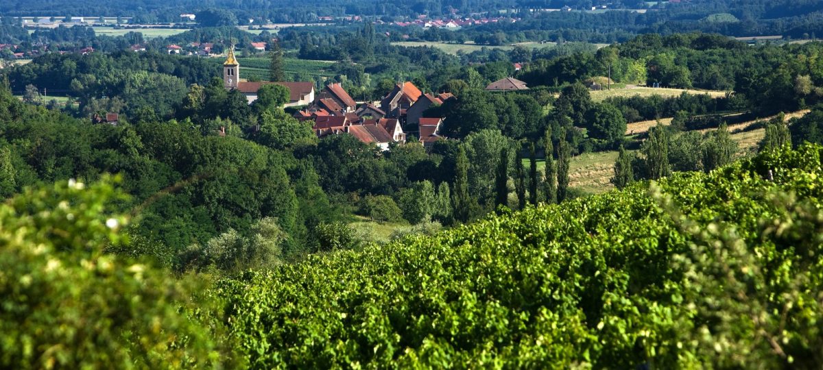 Le pays de St Amour et le Sud Revermont