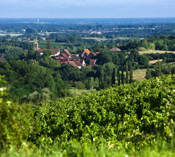 Le pays de St Amour et le Sud Revermont