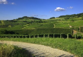 Escapade gastronomique à Arbois