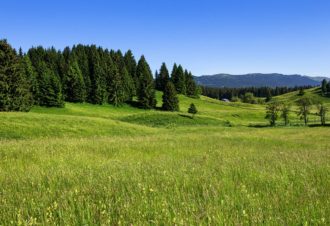 Au coeur du Parc naturel regional du Haut-Jura