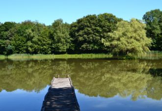 Le Sentier des Étangs de la Bresse Jurassienne