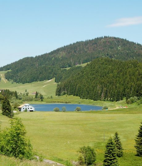 Tourbière de la combe du lac à Lamoura