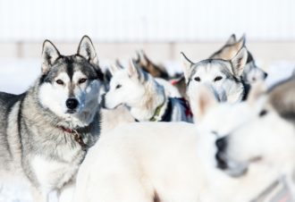 Le Haut-Jura, patrimoine naturel